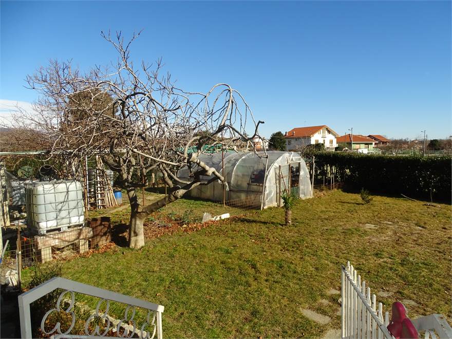 Photo 43